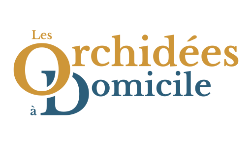 Logo de la structure LES ORCHIDEES A DOMICILE